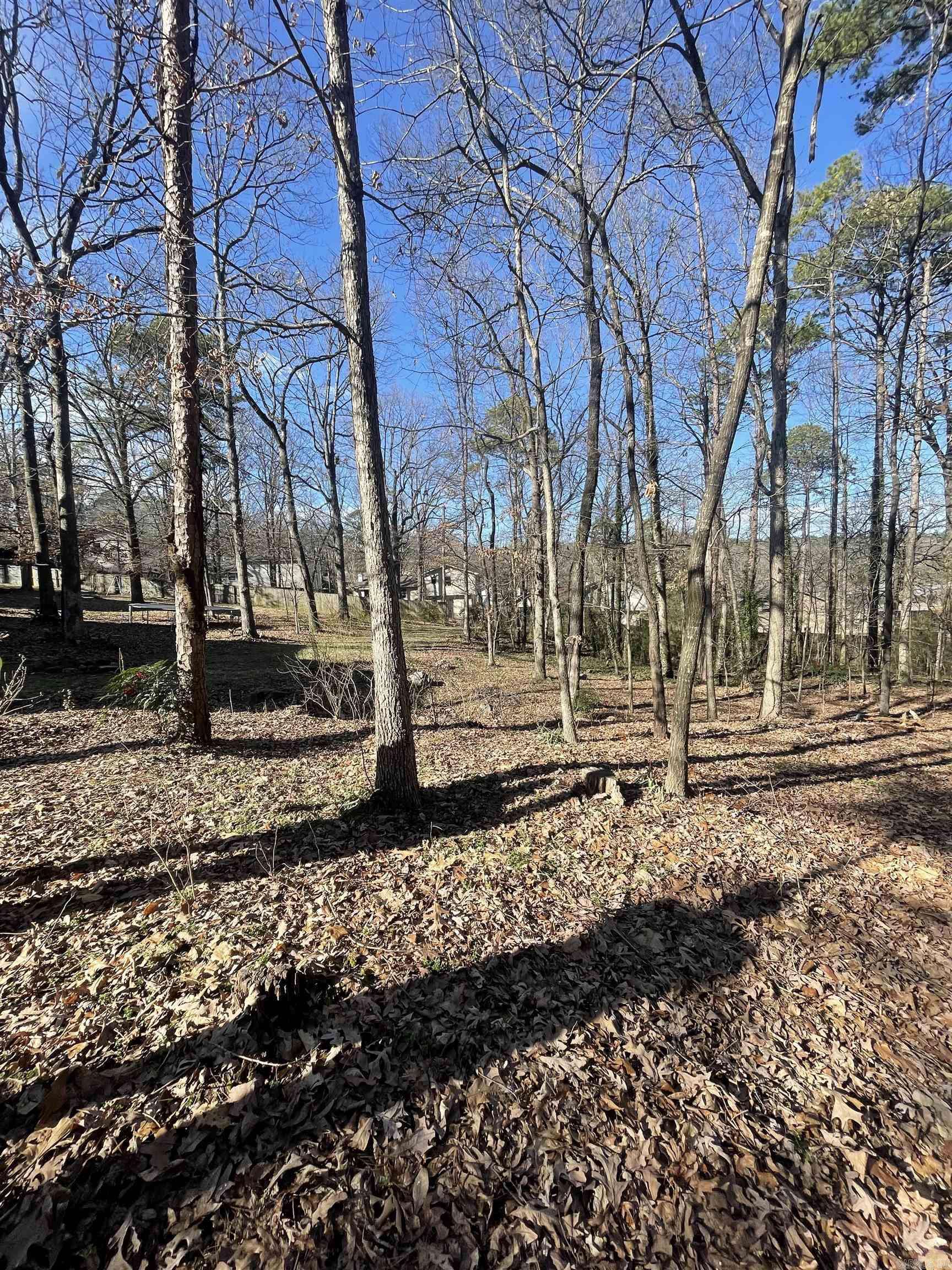 Scarlet Maple Ct, Little Rock, AR 72223