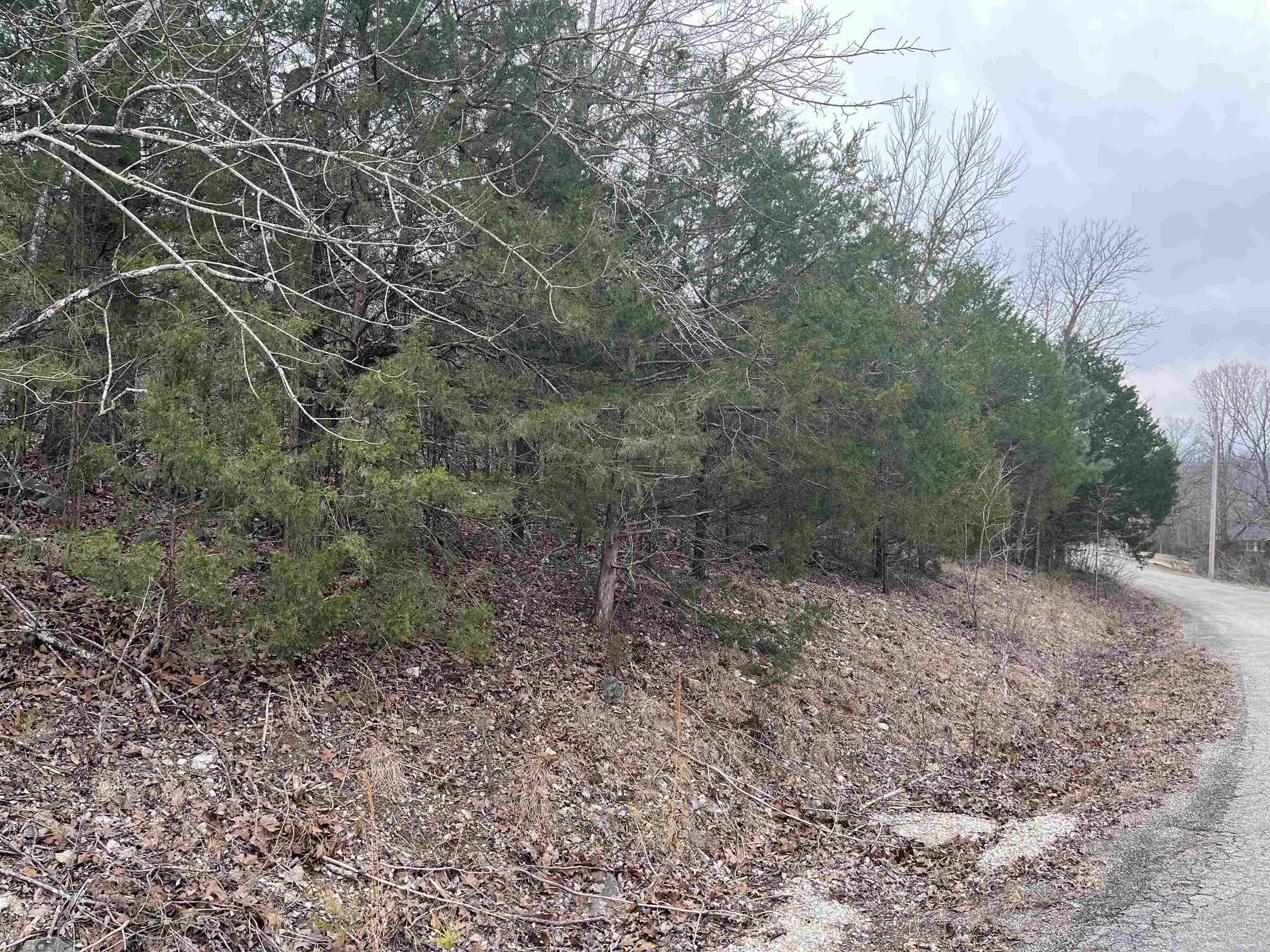 Cherokee Village, AR 72529,TBD Isleta Drive