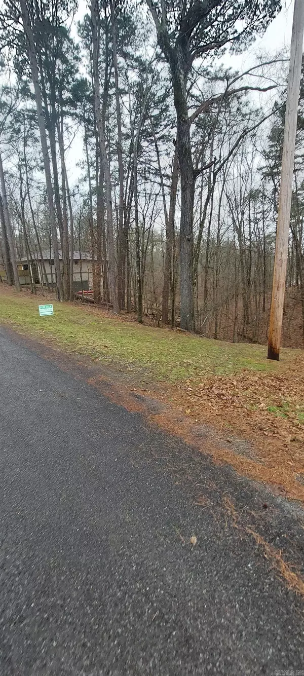 Hot Springs, AR 71913,337 Arlington Drive