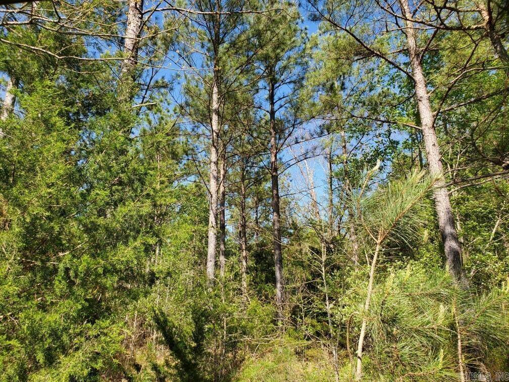 Mena, AR 71953,TBD Highway 375 East    (Lot 6)