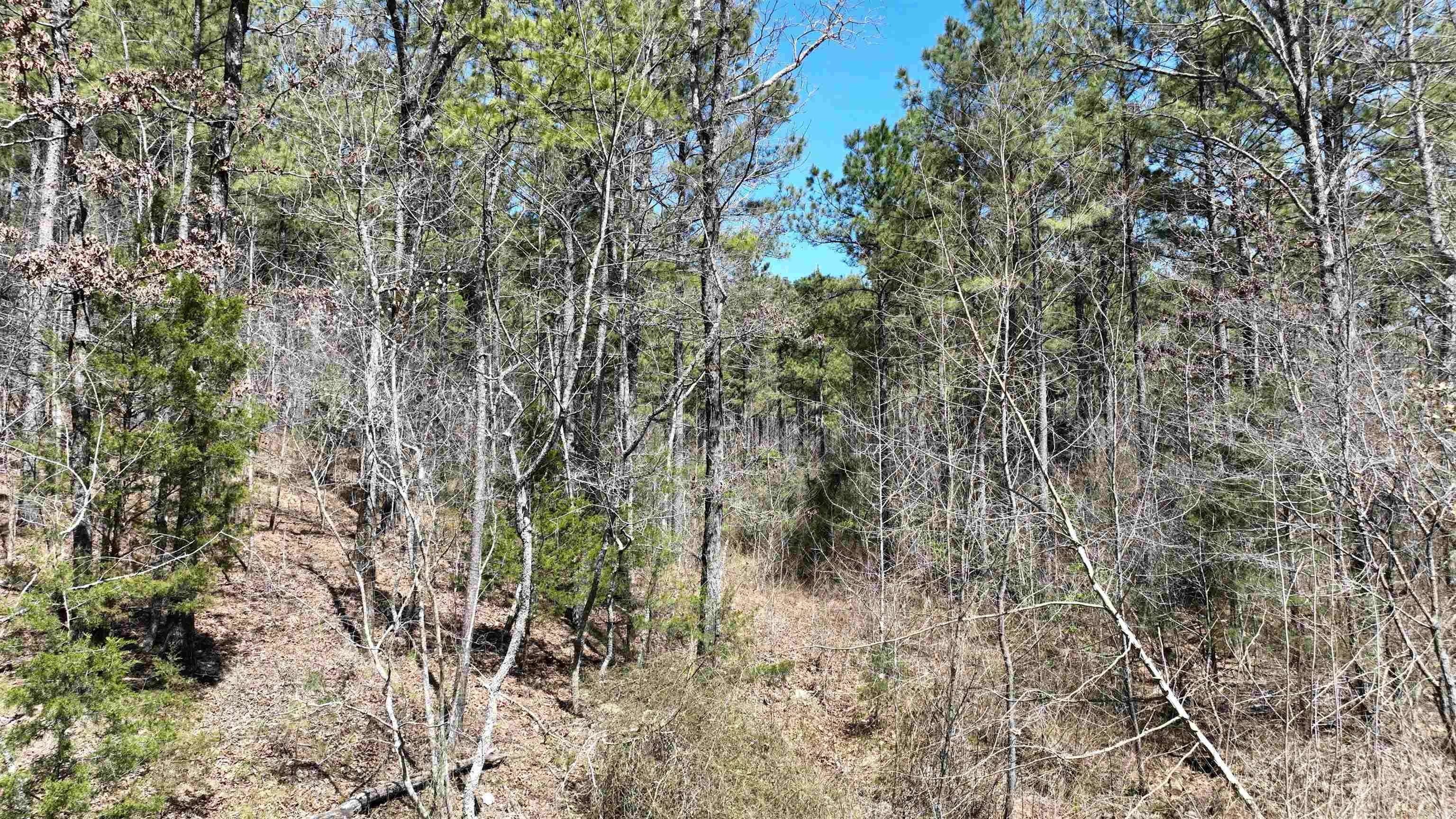 Mena, AR 71953,TBD Highway 375 East    ( Lot 7)