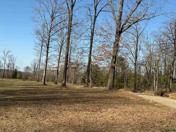 Mena, AR 71937,TBD Polk Road 168 LOT #4