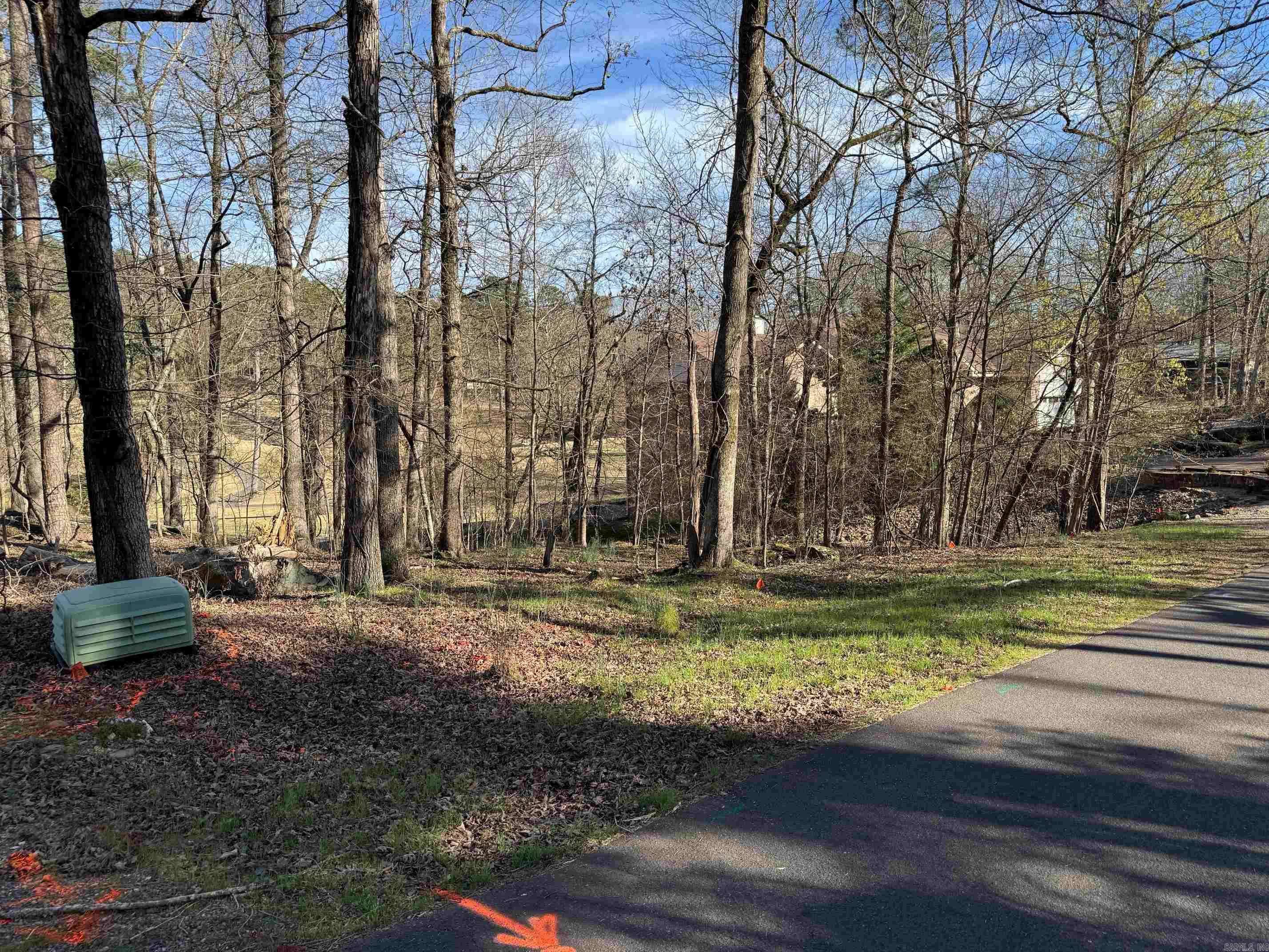 Hot Springs Village, AR 71909,27 GANCHO WAY