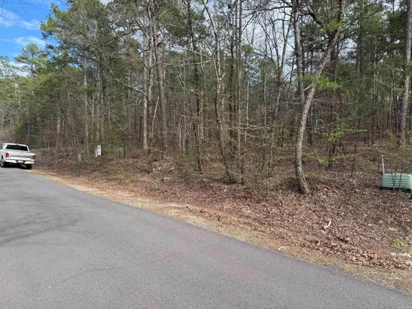 Hot Springs Village, AR 71909,18 FINEZA WAY