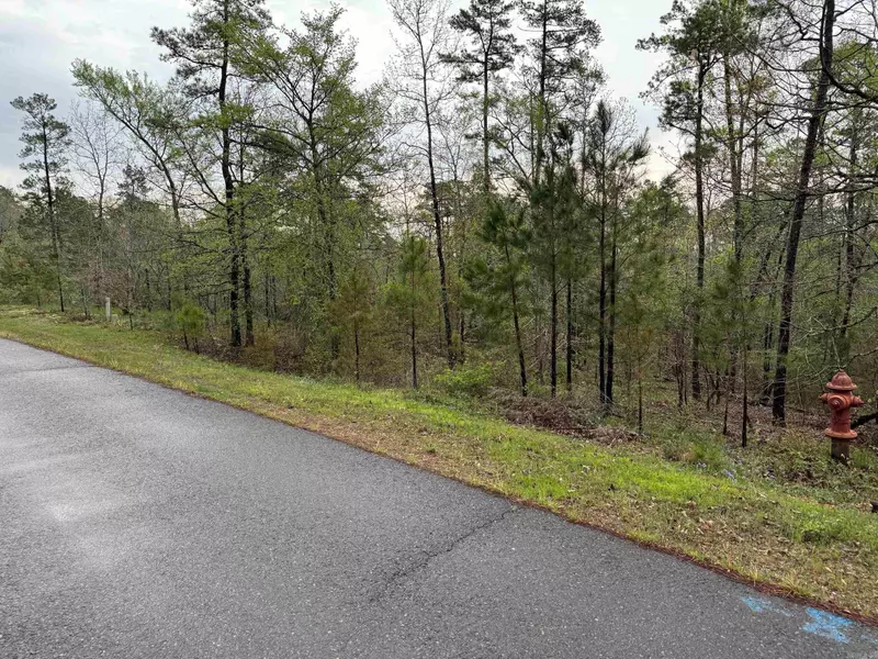 22 JUBILEO WAY, Hot Springs Village, AR 71909