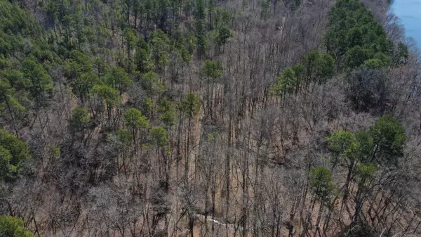 Sims, AR 71969,XXX TRIPLE RIVER Road