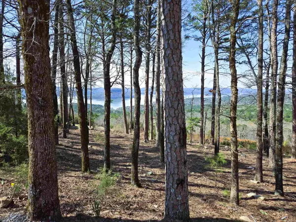 Fairfield Bay, AR 72088,Edgle Ridge Trace