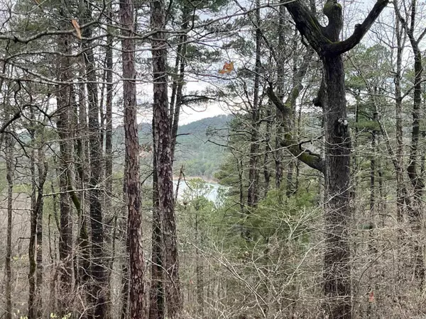 Hot Springs Village, AR 71909,8 Cozar Ln