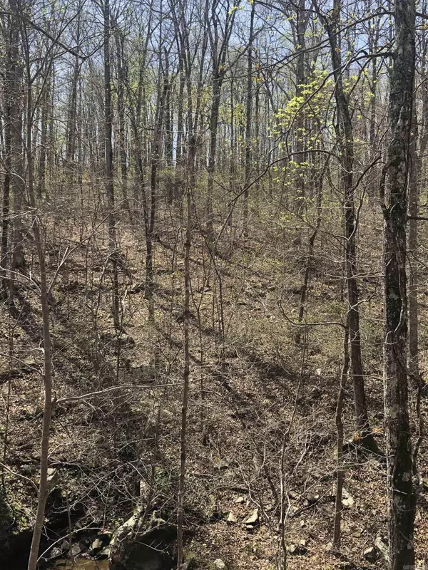 Shirley, AR 72153,0000 Lute Mountain Road