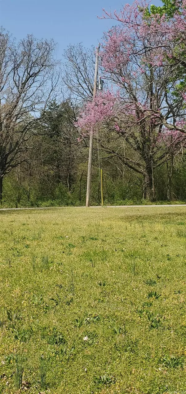 Mountain View, AR 72560,Address not disclosed