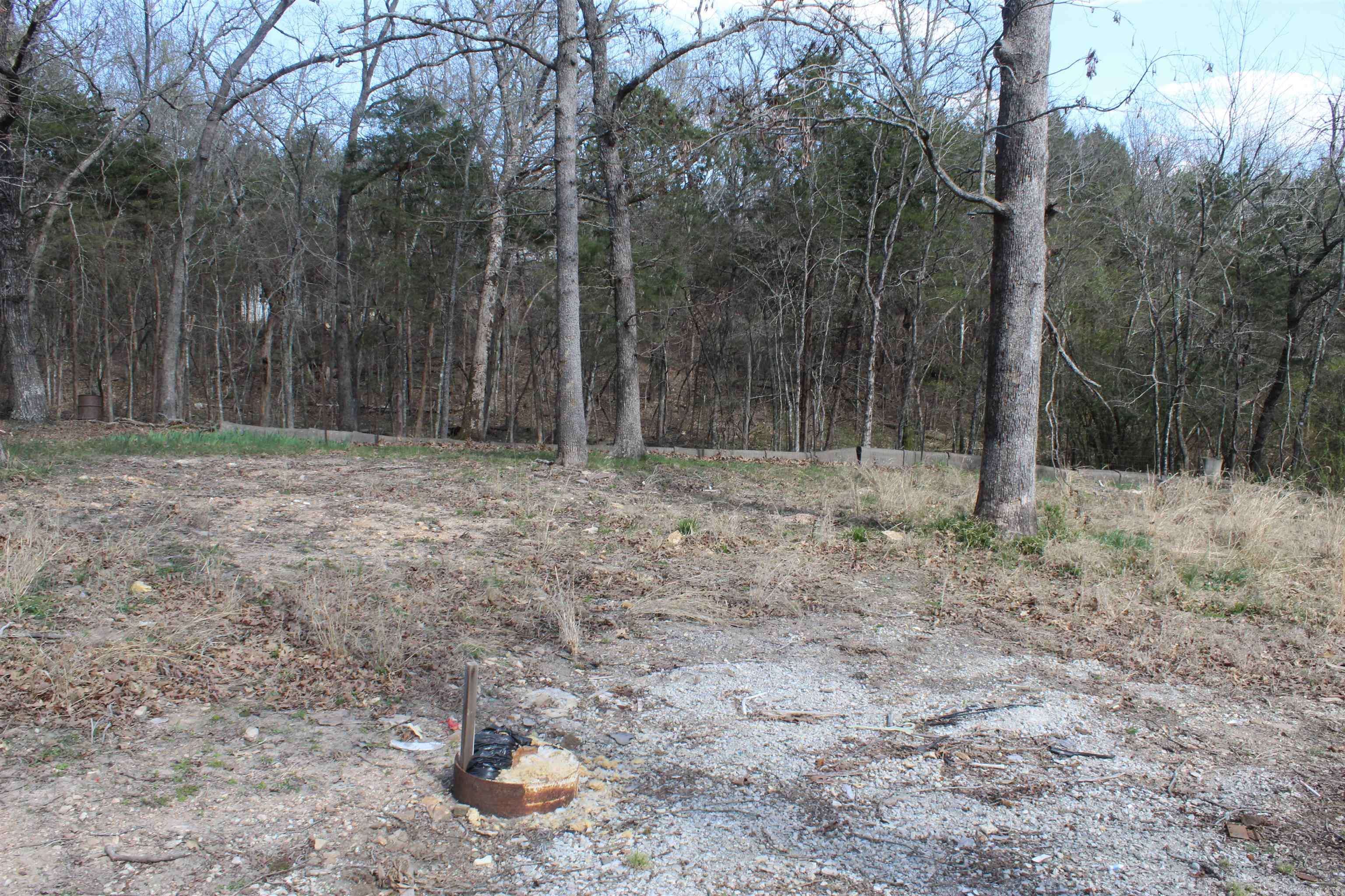 Peel, AR 72668,137 Lilly Lane