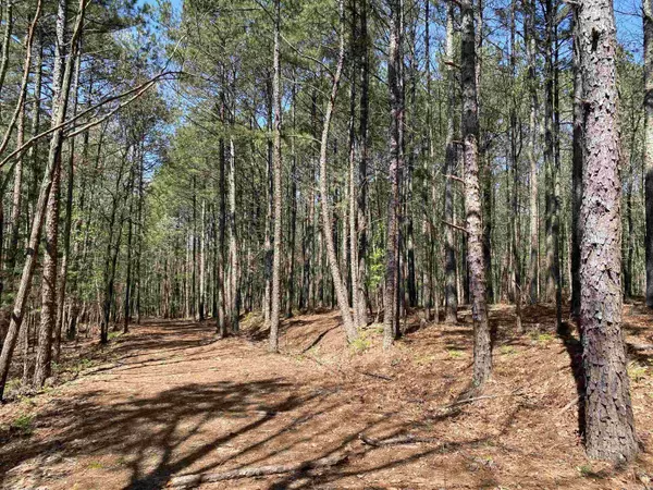 Mount Ida, AR 71957,TBD Woodland Springs Road