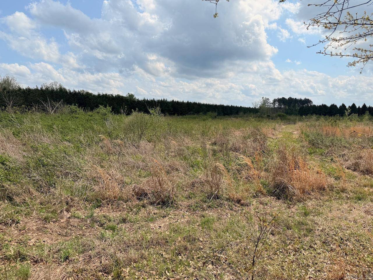 Monticello, AR 71655,Hwy 172