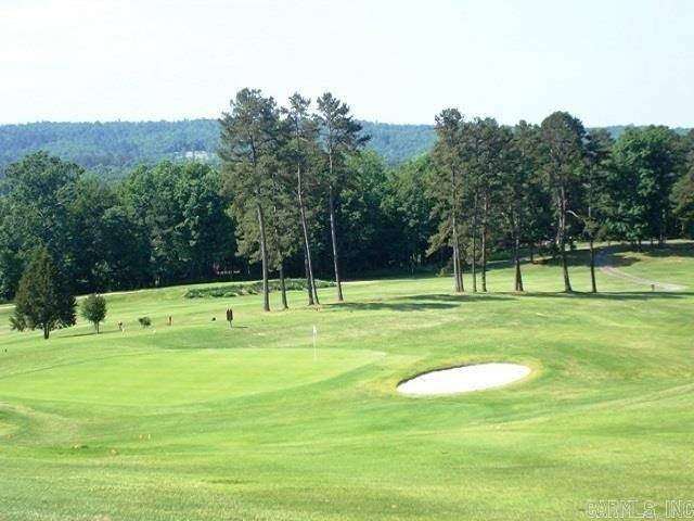 Hot Springs, AR 71913-0000,Lot 1585A Diamondhead Drive