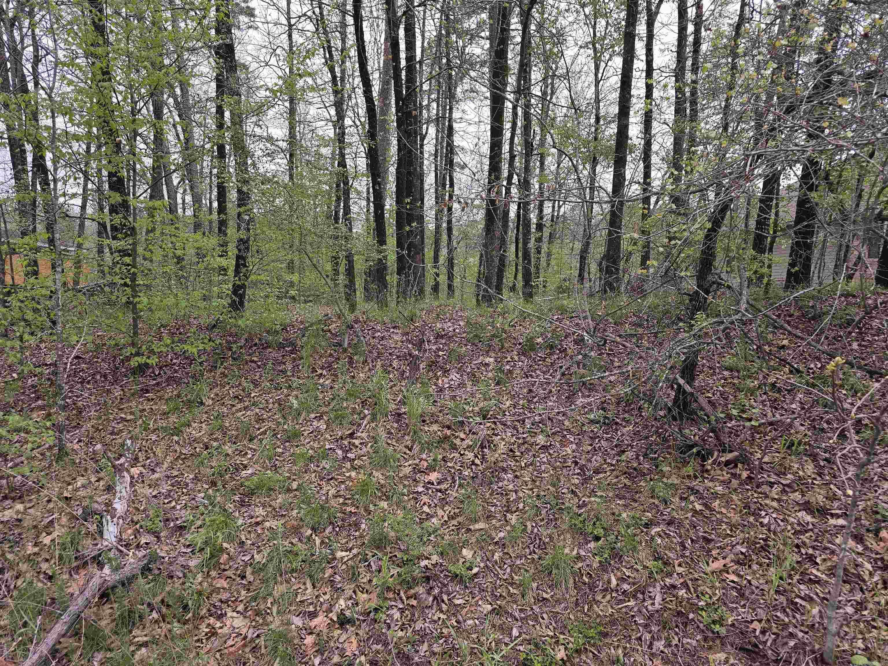 Lot 152 Spyglass, Hot Springs, AR 71913-0000