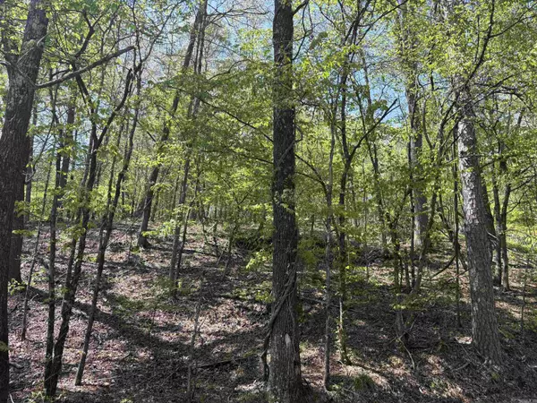 Hot Springs, AR 71901,Address not disclosed