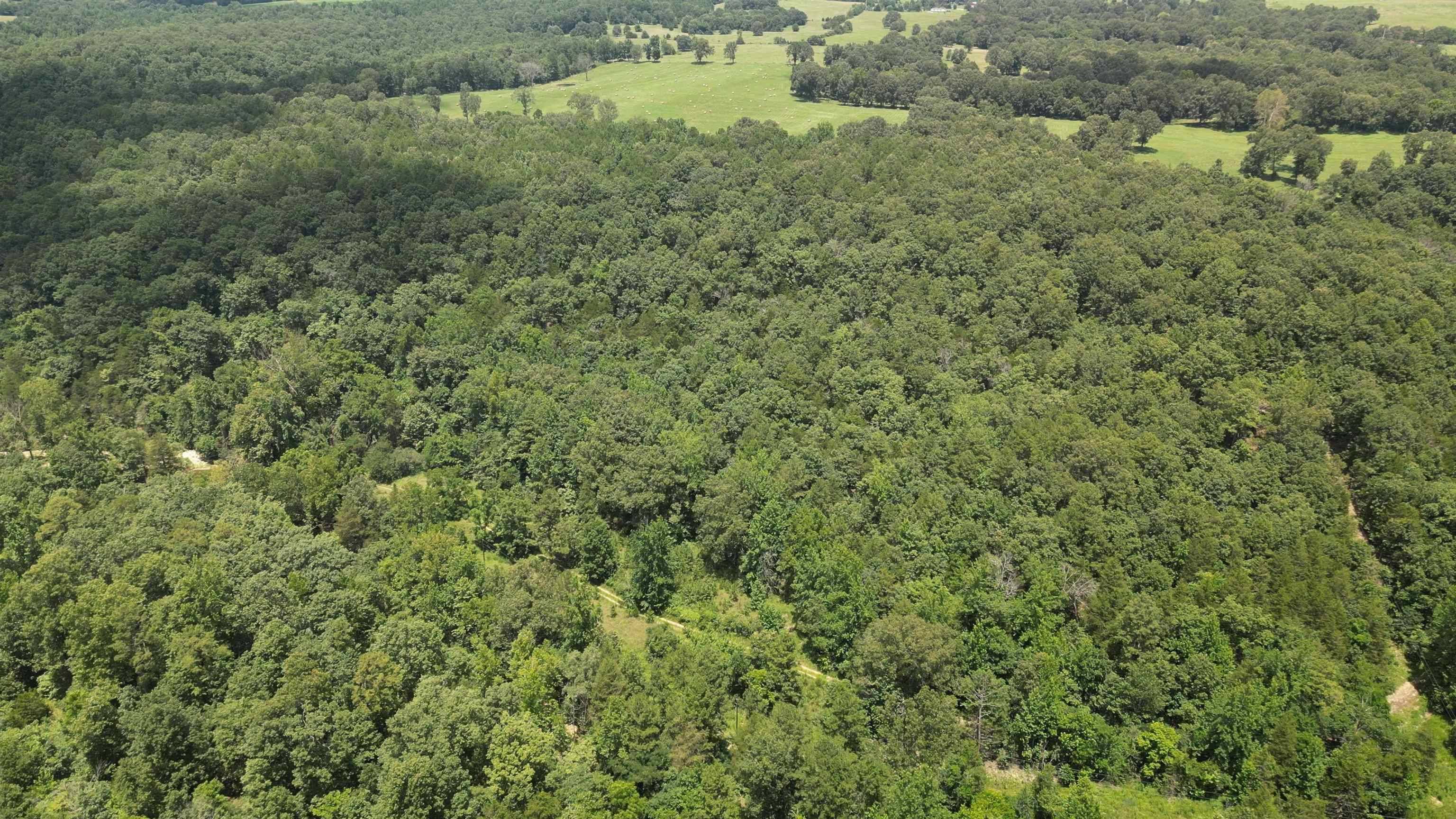 Pineville, AR 72566,881 Driftwood Drive