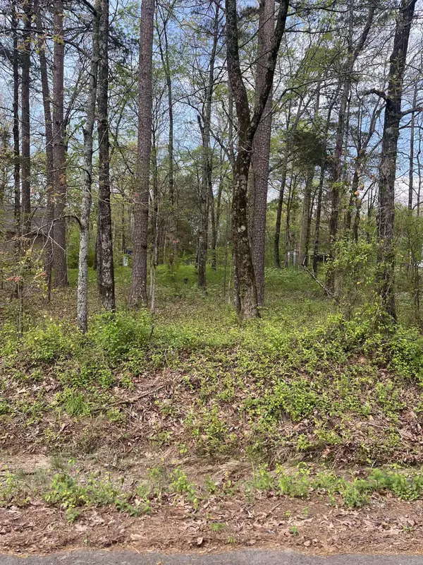Lot #2 Lynch Rd., Clinton, AR 72013