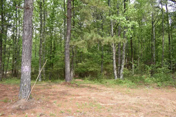 Hot Springs, AR 71913,2.95 Acres Iris Place
