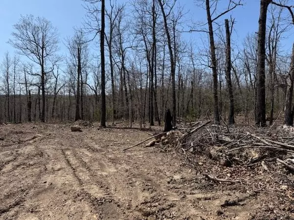Horseshoe Bend, AR 72512,303 Mother Lode Drive