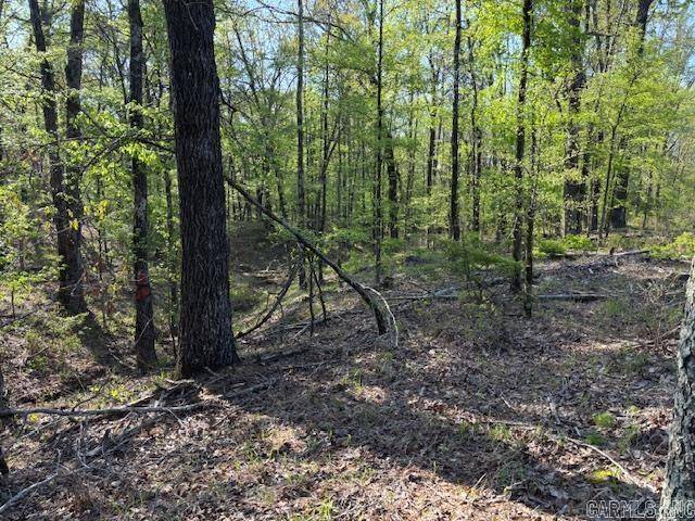 Prattsville, AR 72129,0 Grant County Rd 291020