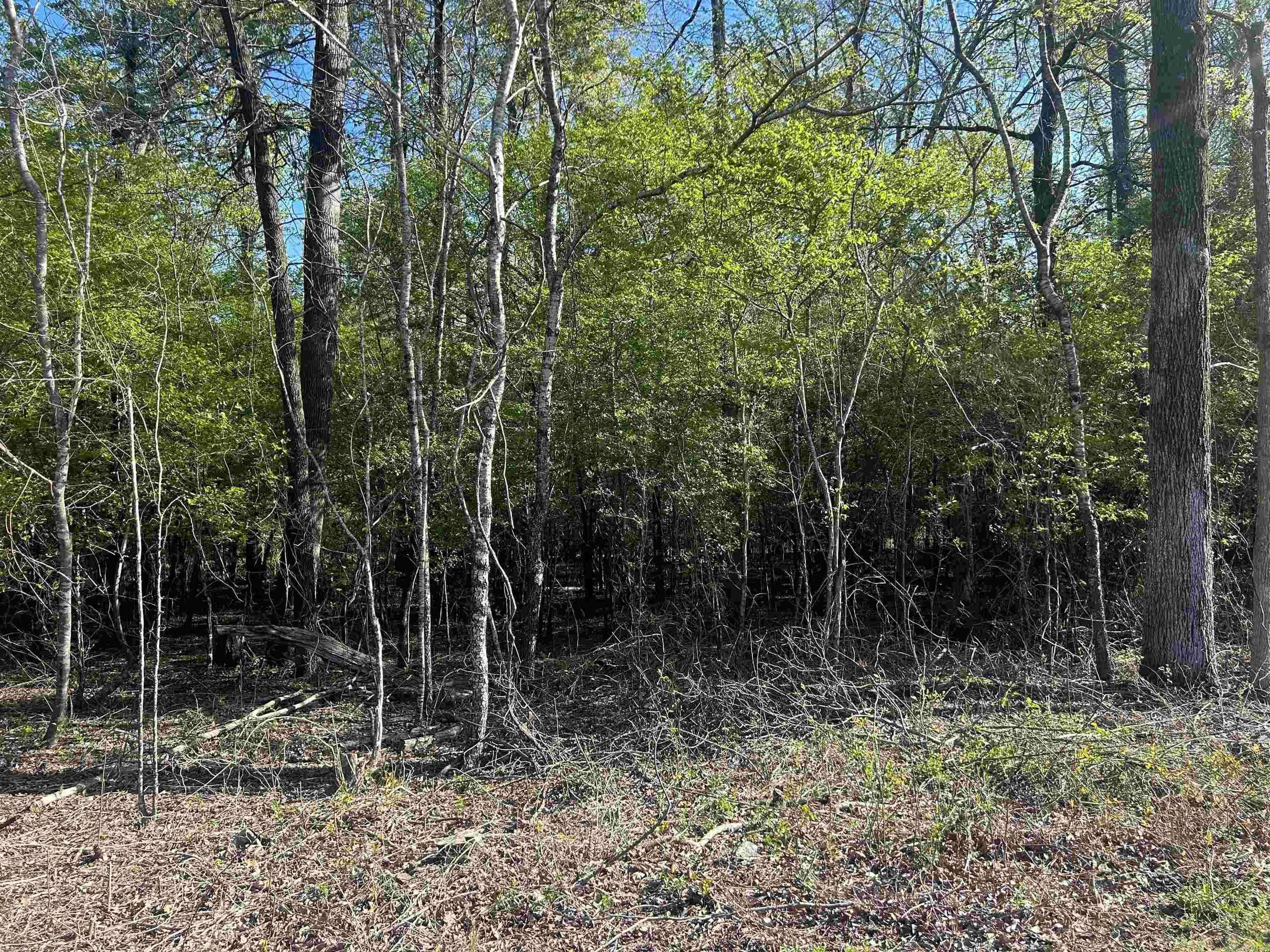 0 Gum Street (Tract 2), Sheridan, AR 72150