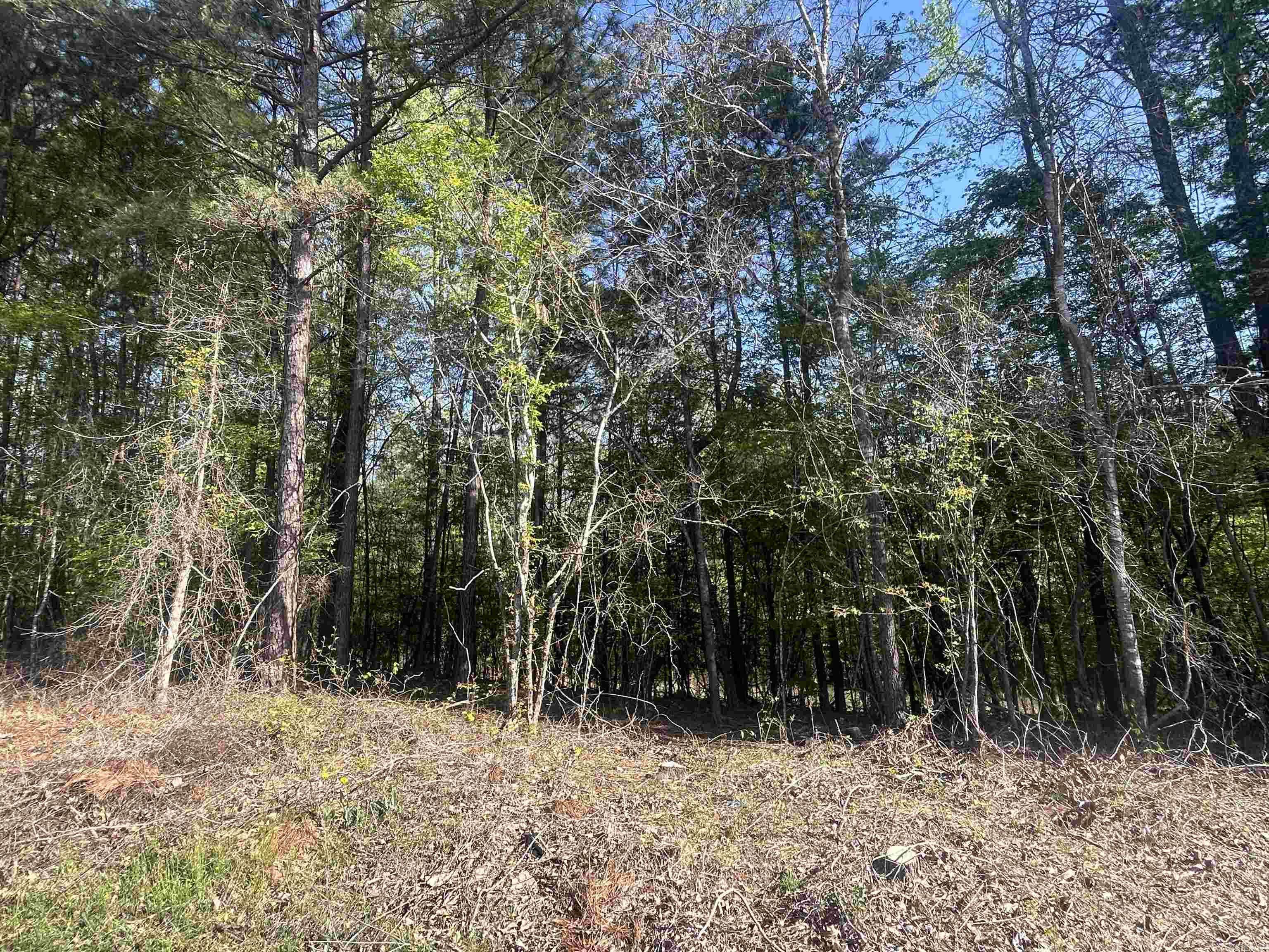 Sheridan, AR 72150,0 Gum Street (Tract 3)