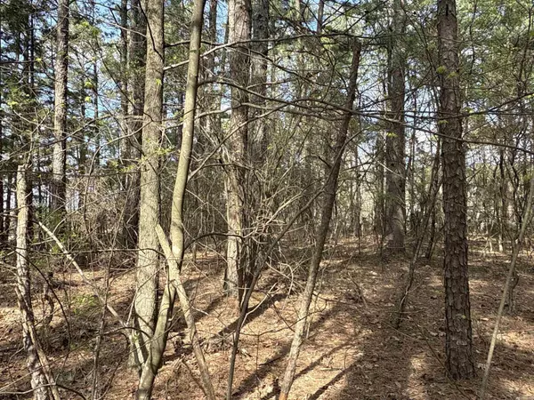 Bee Branch, AR 72013,3200 East Mountain Road