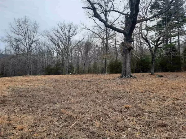 Mountain View, AR 72560,000 S hwy 9