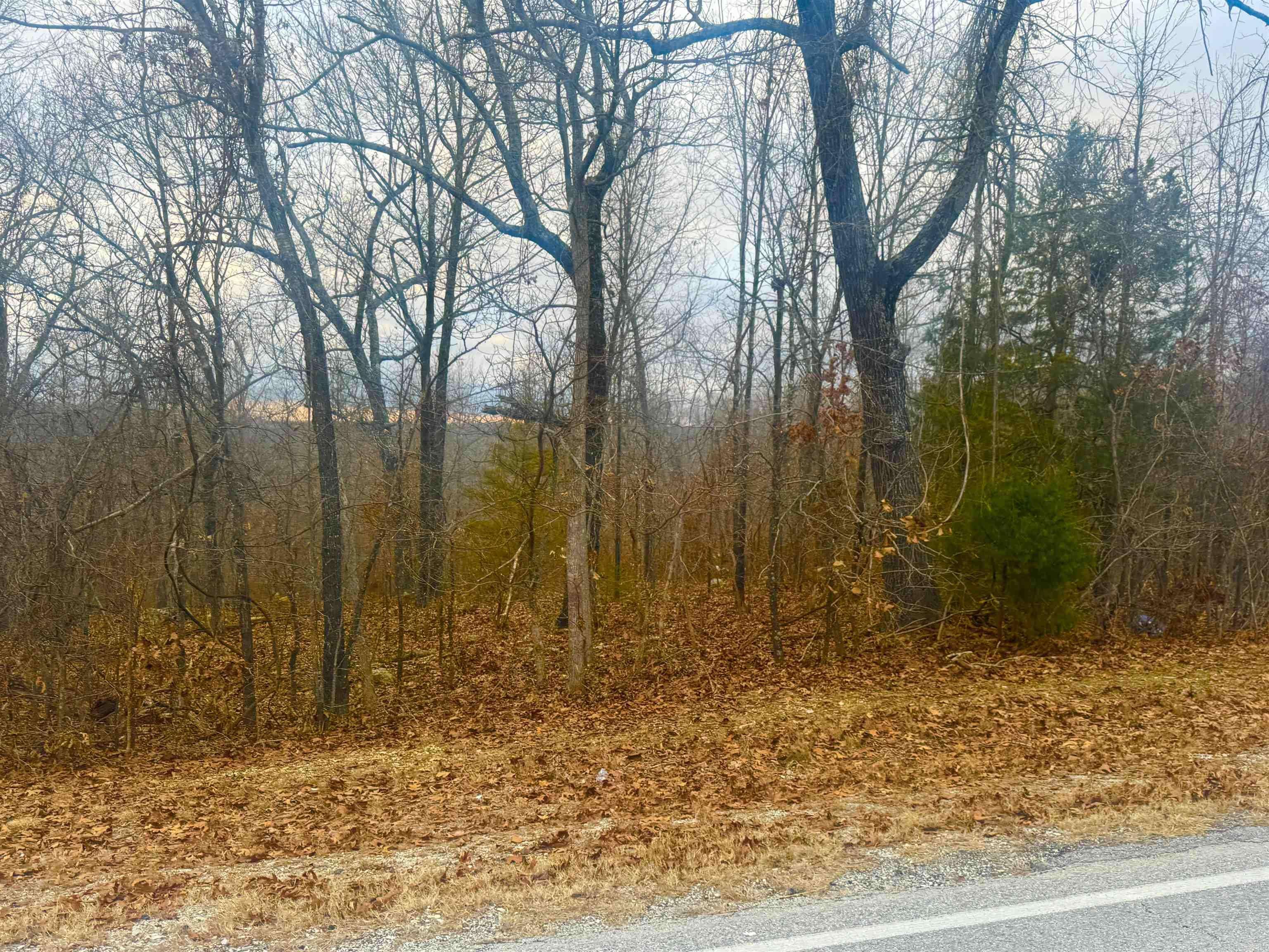 Horseshoe Bend, AR 72512,Lot 19,20,21 South Bend Drive