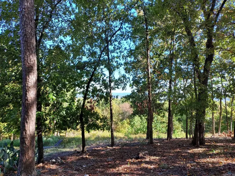 126 Mesero Way, Hot Springs Village, AR 71909