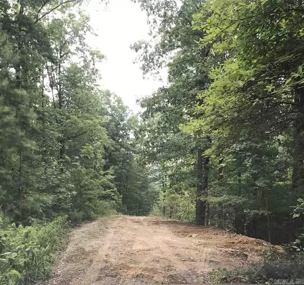 Jessieville, AR 71949,111 Kospelich