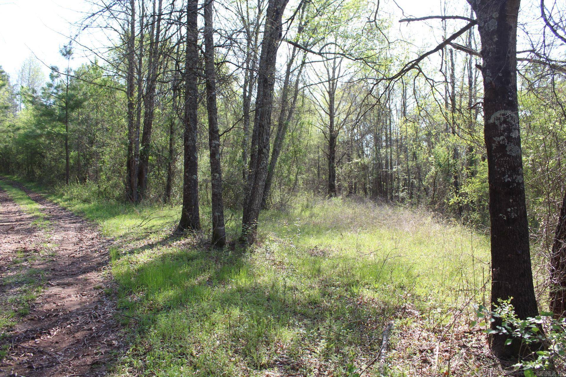 Royal, AR 71968,Albert Pike Road