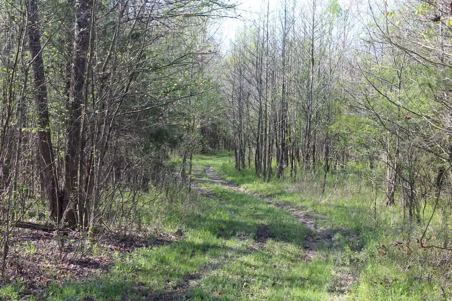 Albert Pike Road, Royal, AR 71968