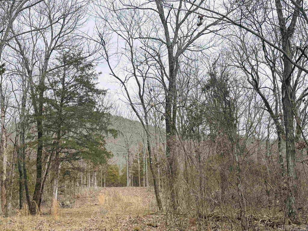 00 S 65 (w/Range St Easement Access) Highway, Marshall, AR 72650