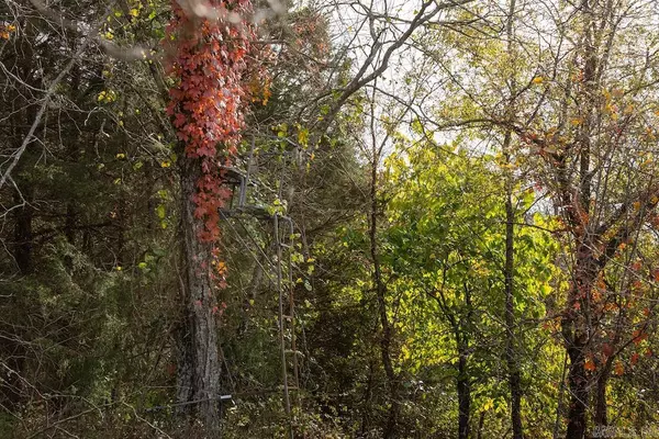 Oak Grove, AR 72660,CR 663