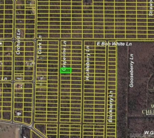 Horseshoe Bend, AR 72512,1206 Grapevine Ln