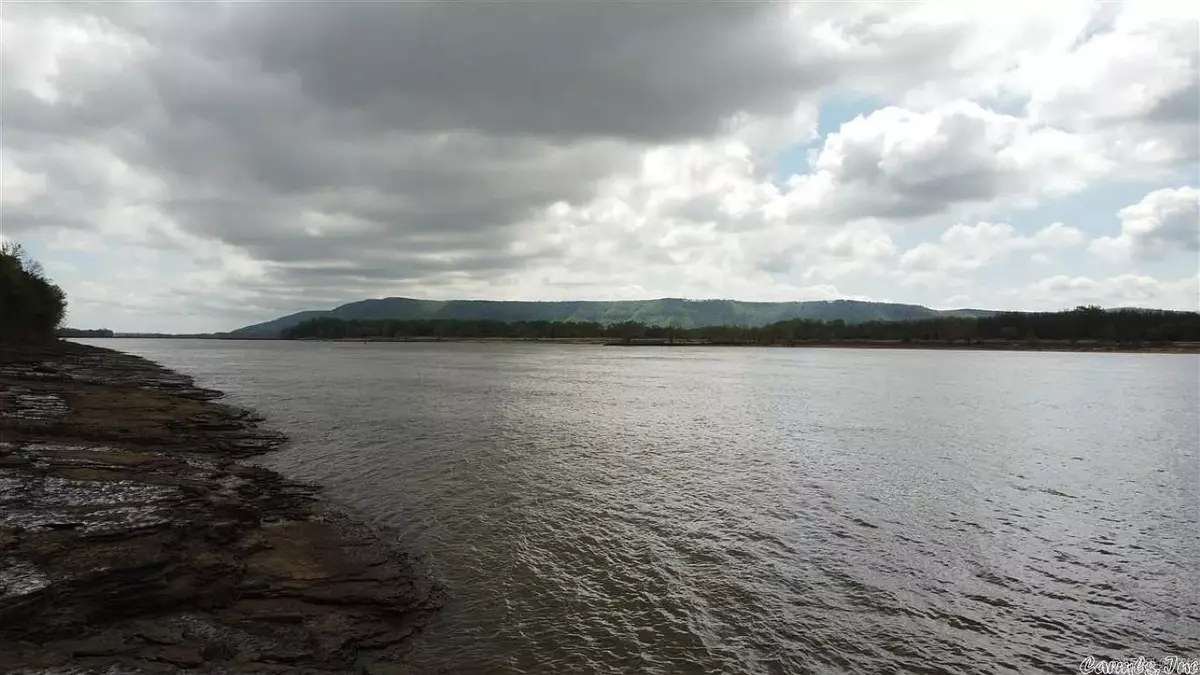 Atkins, AR 72823,Tract 8 Hwy 105 S