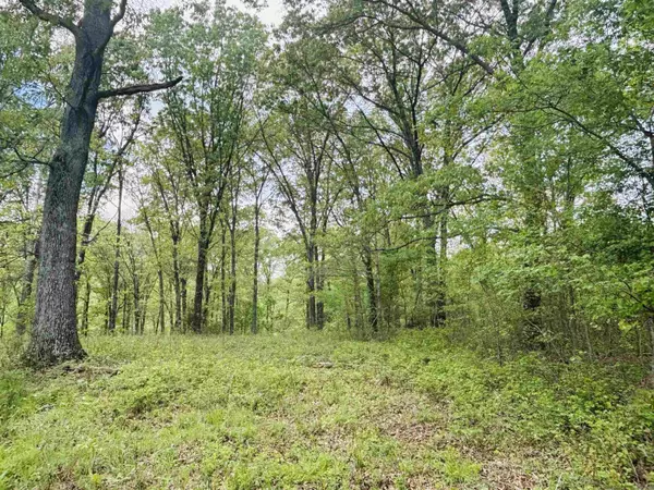 Mountain Home, AR 72653,Lot 31 & 32 (White River Valley 4) Cougar Drive