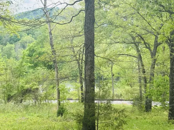Mountain Home, AR 72653,Lot 31 & 32 (White River Valley 4) Cougar Drive