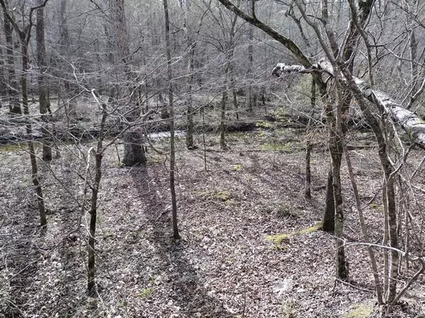 Hot Springs Village, AR 71909,43 Mano Way
