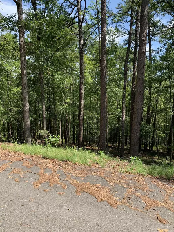 Hot Springs Village, AR 71909,42 Gerante Way