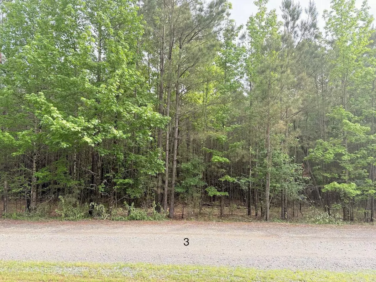 Monticello, AR 71655,University Heights Dr (Lot 3)