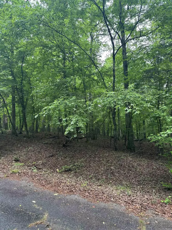 Hot Springs Village, AR 71909,Lot 2 Vestonero Way
