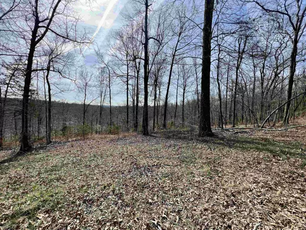 Yellville, AR 72687,Tract 4 Ramblewood Trail