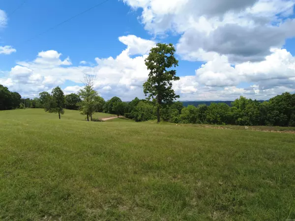 Mountain View, AR 72560,TBD Holmes Road