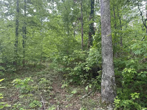 Clinton, AR 72031,000 Holley Mtn Rd