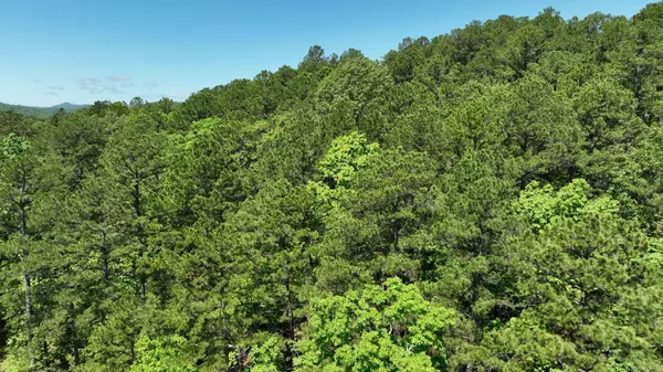 Mena, AR 71953,TBD (Lot10) Heather Lane