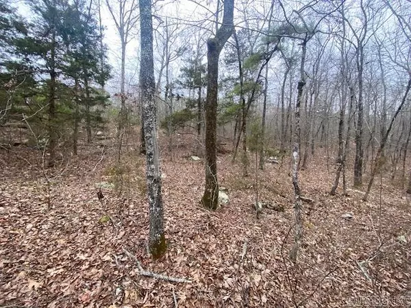 Lot 76 Mustang Drive, Clinton, AR 72031