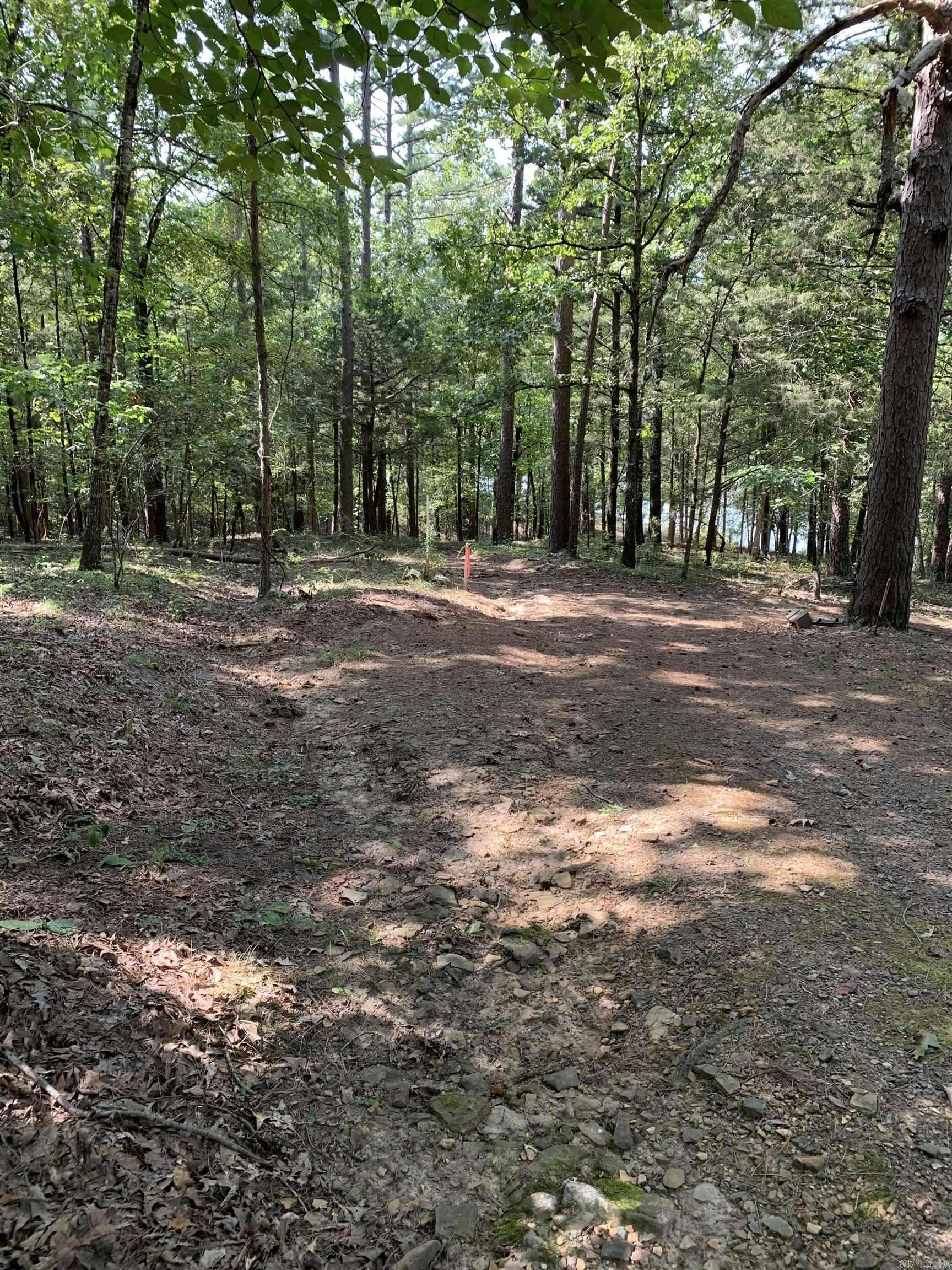 Shirley, AR 72088,000 Boulder Blvd.